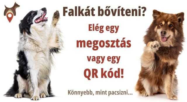 Dogpoint falkagyűjtés