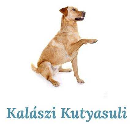 DogPOInt